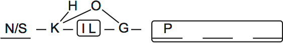 LSAT PrepTest 29, Game 4, Question 24, Diagram 2 LSAT PrepTest 29, Game 4, Question 24, Diagram 2
