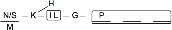 LSAT PrepTest 29, Game 4, Question 24, Diagram 1 LSAT PrepTest 29, Game 4, Question 24, Diagram 1